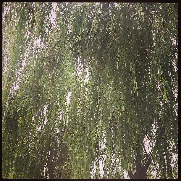 2013/07/22 — 2013/07/22