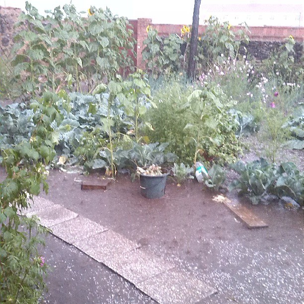 2013/08/04 — 雨加冰雹