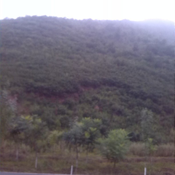 2013/08/15 — 好大的雾（赤城）