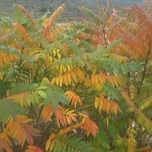 2013/10/10 — 今天回北京在赤城