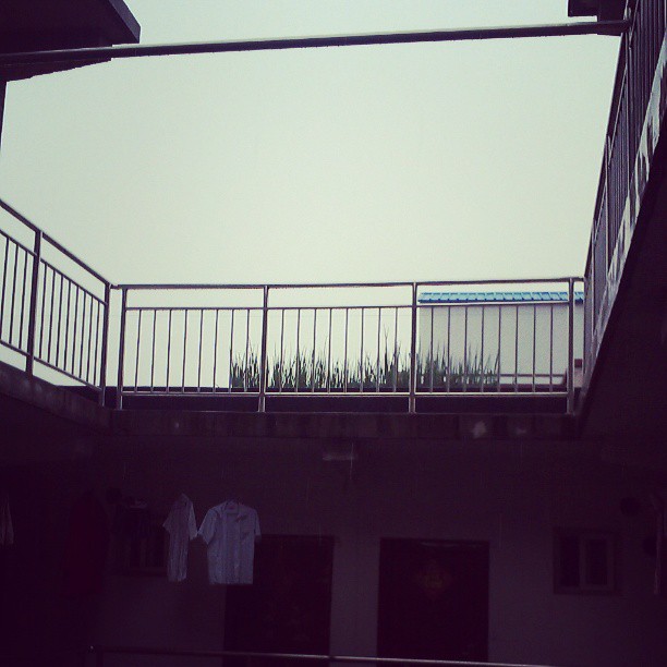 2013/07/09 — 天台上房东还种着大葱，而大葱的底下就是我住的屋，来自木兰海英