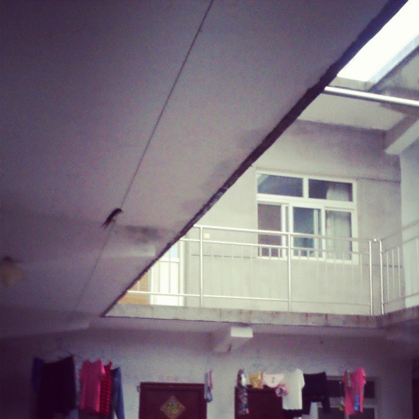 2013/07/14 — 小燕子在屋岩下壁雨。【来自海英拍摄】