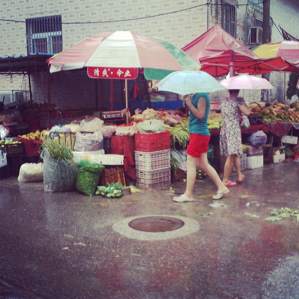 2013/07/16 — 昨天卖菜的说，老下雨菜烂了好多。【来自海英拍摄】
