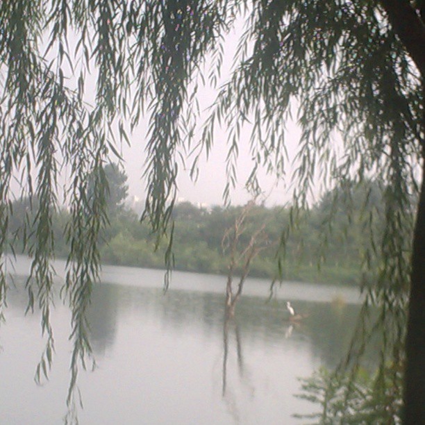 2013/08/14 — 好漂亮的的小湖。【来自温渝河 ，海英拍摄】