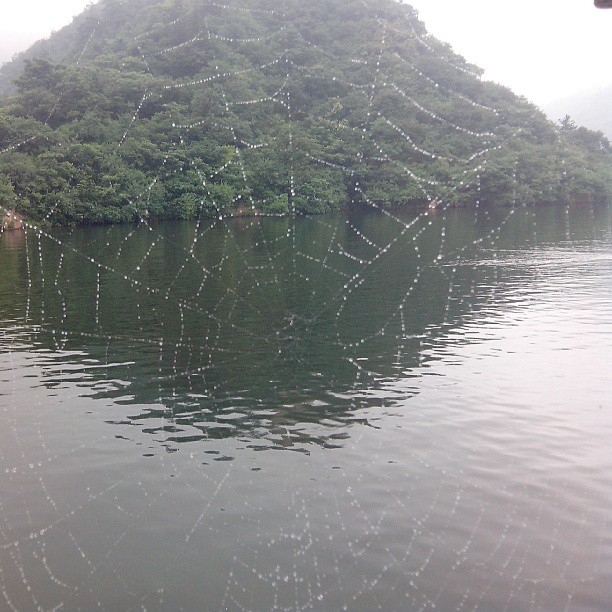 2013/07/27 — 这蜘蛛网漂亮