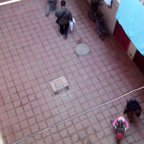 2013/10/02 — 楼下的人来人去。(在家，海英)