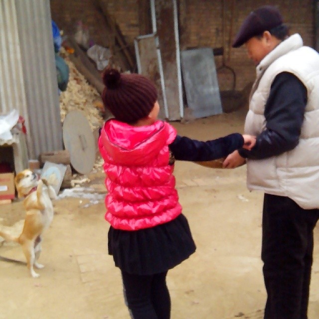 2014/02/15 — 小狗看见主人就给拜，讨人喜欢，来自海英拍摄