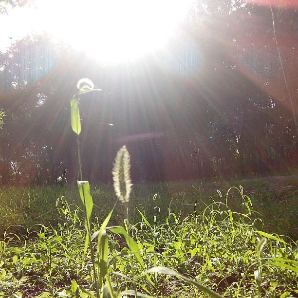 2013/08/09 — 犹如仙境