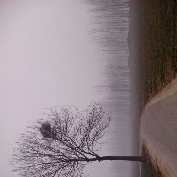 2013/02/10 — 2013/02/10