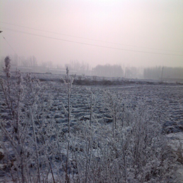 2013/02/12 — 2013/02/12