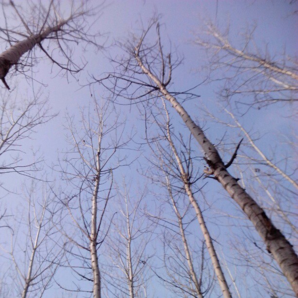 2013/02/12 — 2013/02/12
