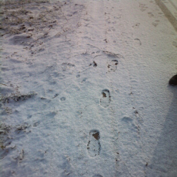 2013/02/12 — 雪地上我的脚印