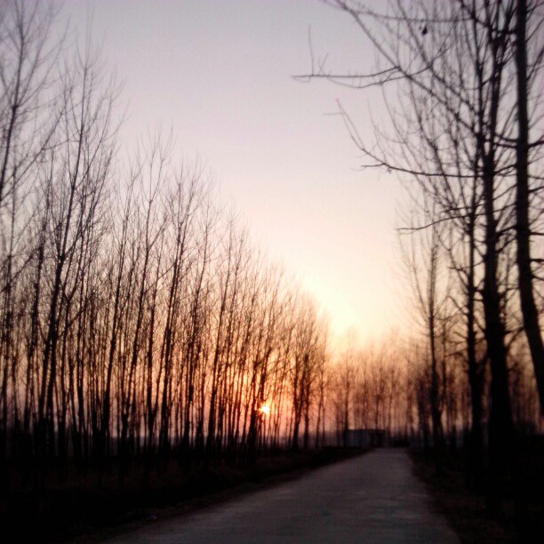 2013/02/12 — 乡村夕阳