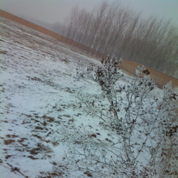 2013/02/12 — 2013/02/12