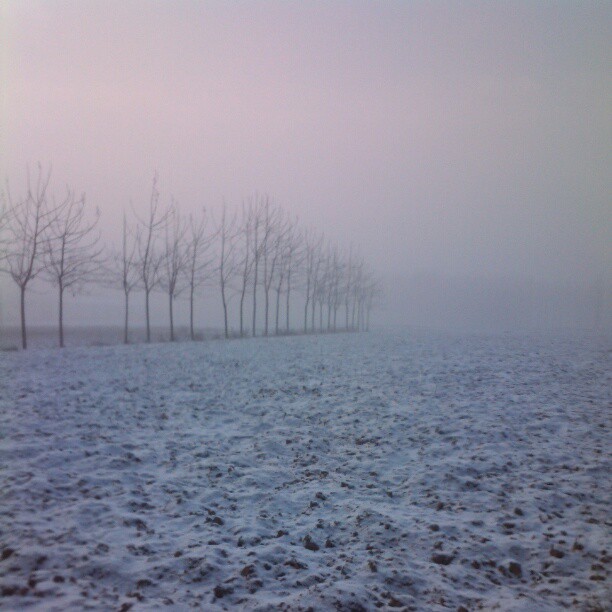 2013/02/12 — 雪后初晴！遗憾的是雪小了点儿。