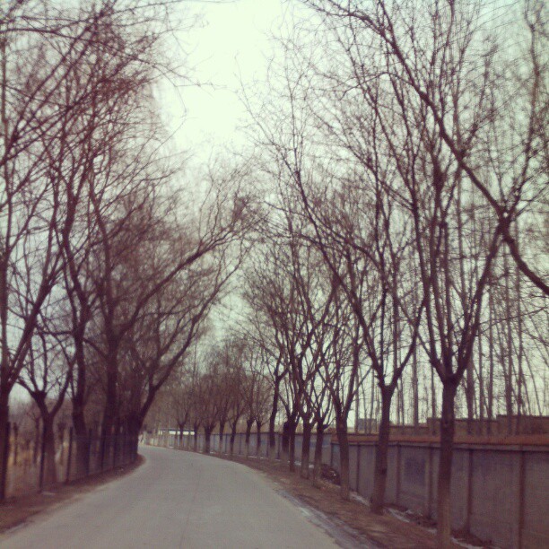 2013/02/14 — 安静的路