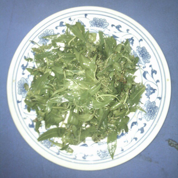 2013/02/14 — 木兰情人节晚餐名菜之一，河南兰考特产~柳叶柳絮