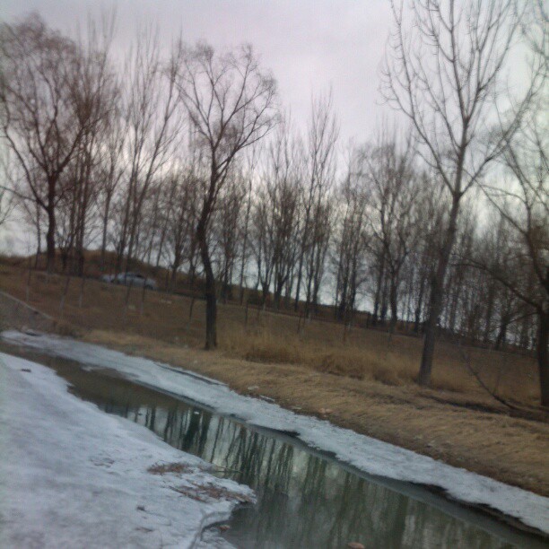 2013/02/17 — 一半是冰，一半残雪消融