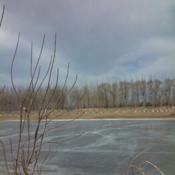 2013/02/17 — 风景哪边独好？