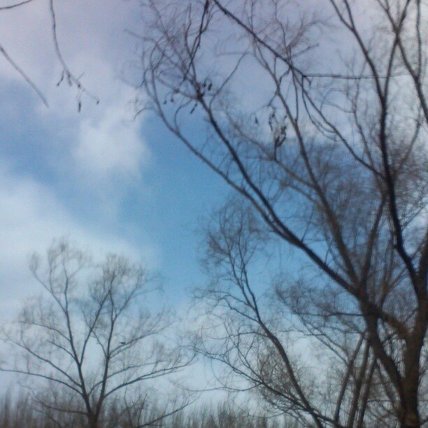 2013/02/17 — 2013/02/17