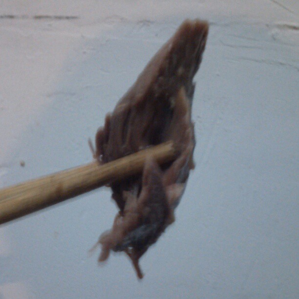2013/02/19 — 真正的鸡（肌）肉啊！可不是一般的香，大家都想起了童年吃肉的感觉！