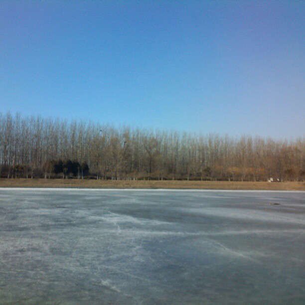 2013/02/20 — 2013/02/20