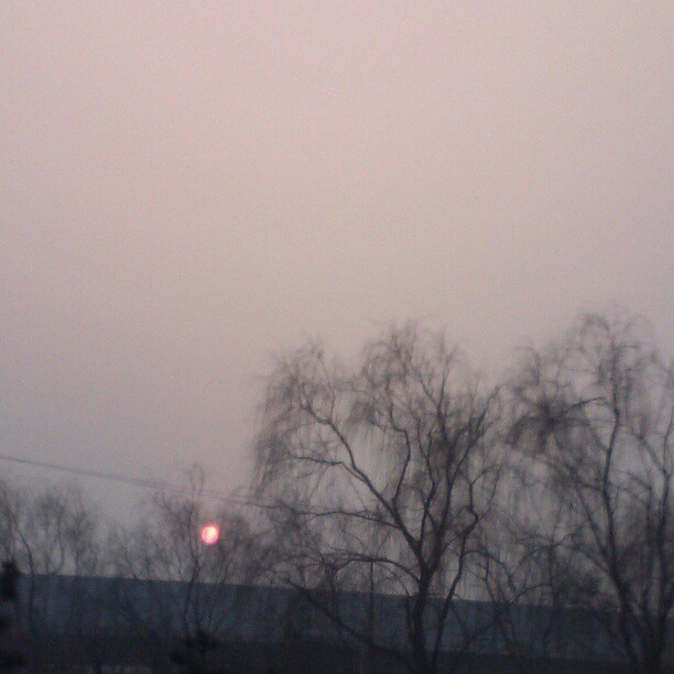 2013/02/21 — 2013/02/21