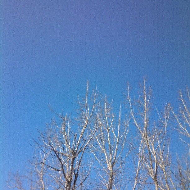 2013/03/01 — 碧蓝如洗