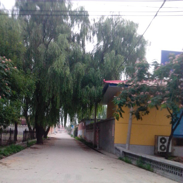 2013/07/14 — 看到林荫掩映的小房，想家了！(丽霞拍摄于平谷)