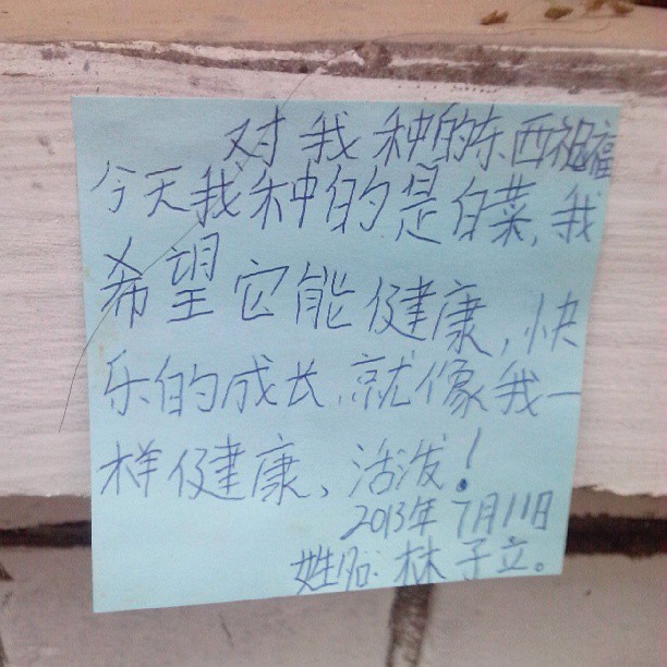 2013/07/14 — 孩子写给自己种植的菜的寄语(丽霞拍摄于木兰)