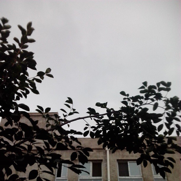 2013/08/02 — 2013/08/02