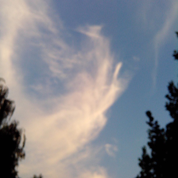 2013/08/08 — 2013/08/08
