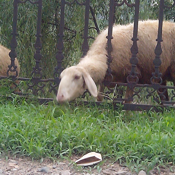 2013/08/12 — 小心 别把脖子挤坏了！