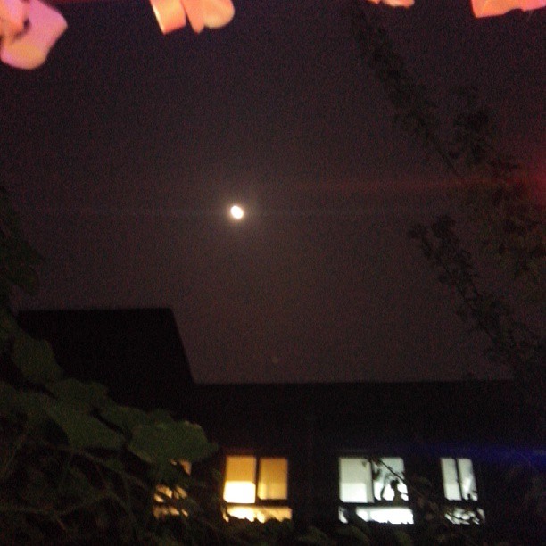 2013/09/19 — 天涯共此时，明月照万家
