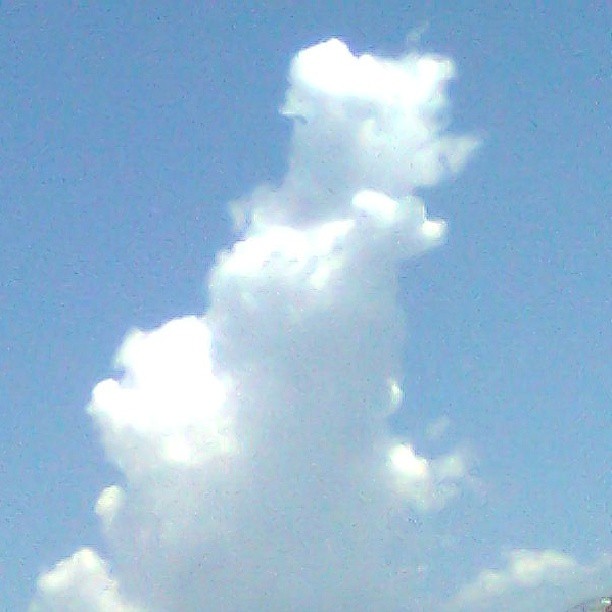 2013/07/10 — 奶牛