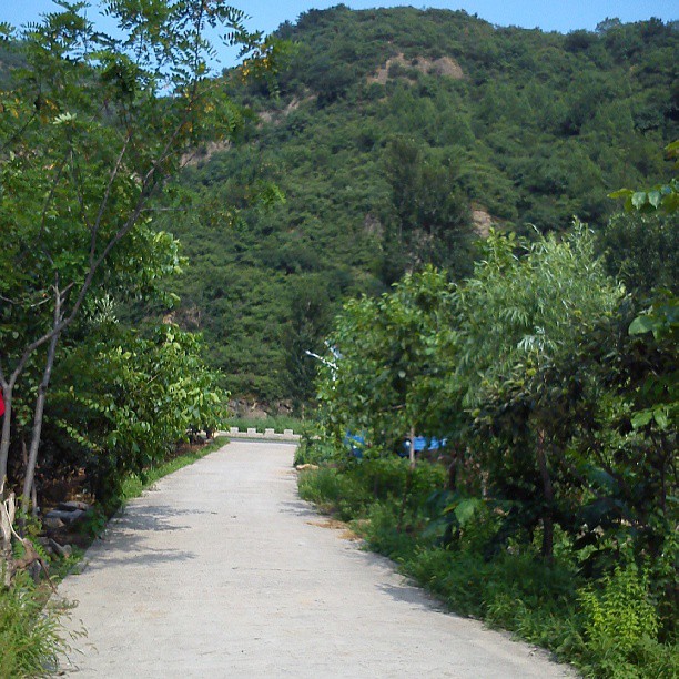 2013/08/05 — 我们夏令营的下山路！
