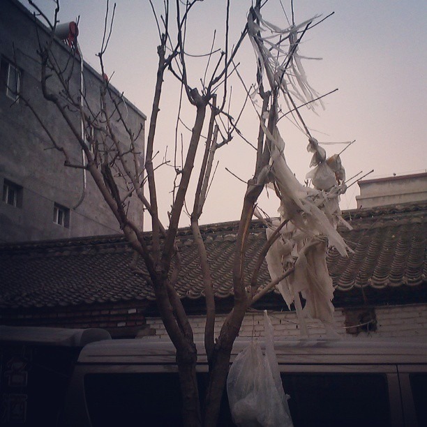2013/07/19 — "塑葉"