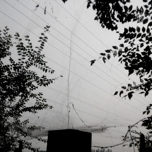 2013/09/17 — 網