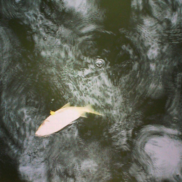 2013/07/15 — 雨中的哭泣