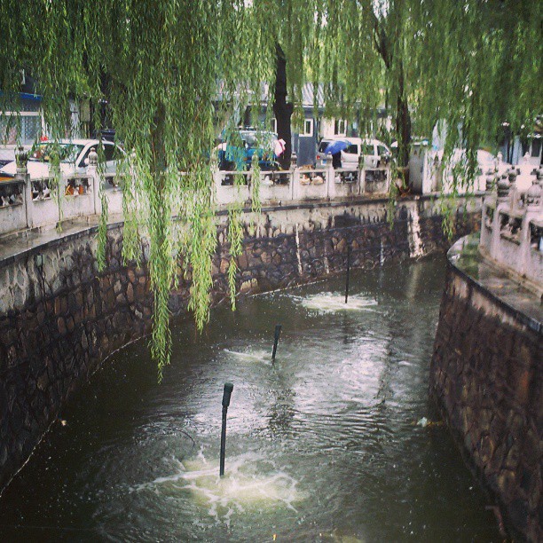 2013/07/15 — 雨也是一種表達