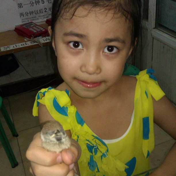 2013/07/14 — 女儿抓到一只刚学飞的小麻雀，刘婷拍摄