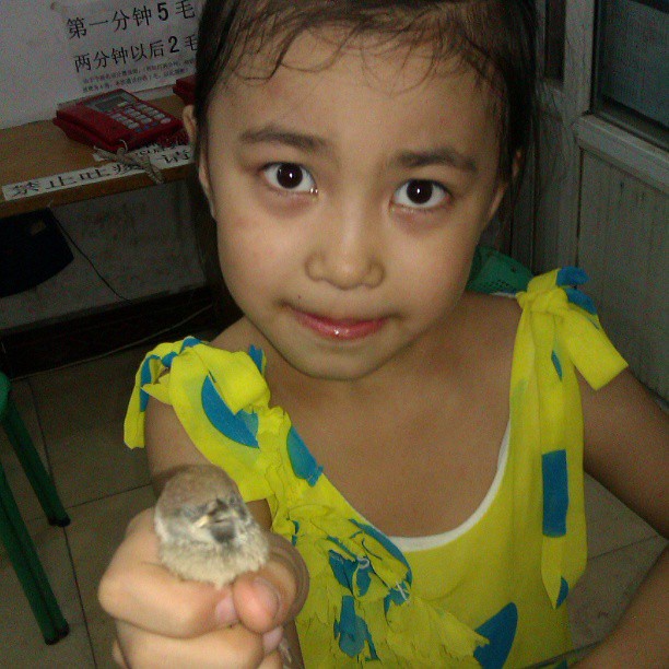 2013/07/18 — 她拿的是家雀